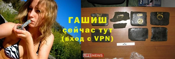 гашик Елизово