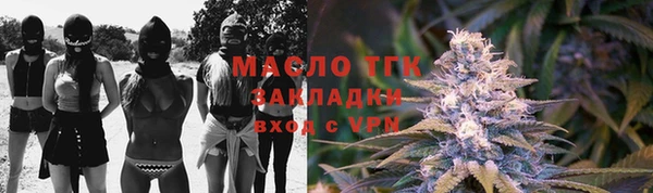 гашик Елизово