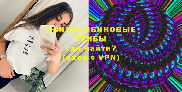 гашик Елизово