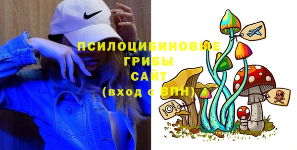 гашик Елизово