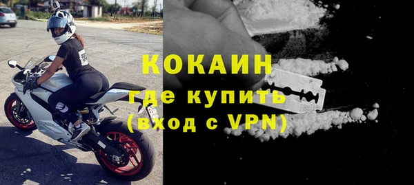 гашик Елизово