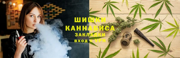 гашик Елизово