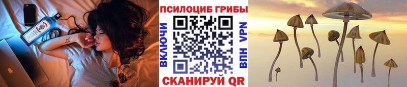 Купить закладки  Касимов  Псилоцибиновые грибы Cubensis 